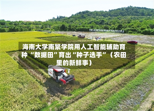 海南大学南繁学院用人工智能辅助育种 “数据田”育出“种子选手”（农田里的新鲜事）-第2张图片