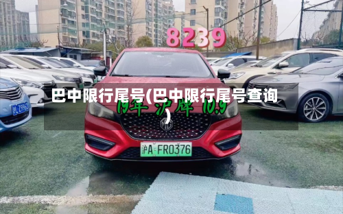 巴中限行尾号(巴中限行尾号查询)
