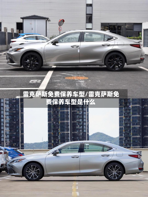 雷克萨斯免费保养车型/雷克萨斯免费保养车型是什么-第2张图片
