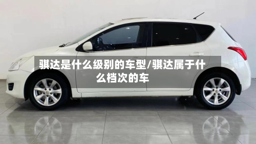 骐达是什么级别的车型/骐达属于什么档次的车-第2张图片