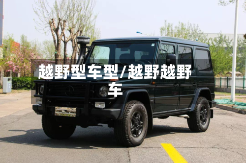 越野型车型/越野越野车