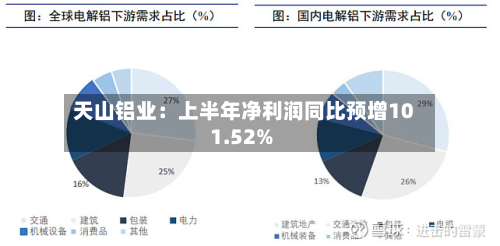 天山铝业：上半年净利润同比预增101.52%-第2张图片