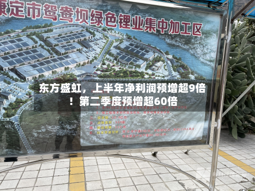 东方盛虹	，上半年净利润预增超9倍！第二季度预增超60倍-第1张图片