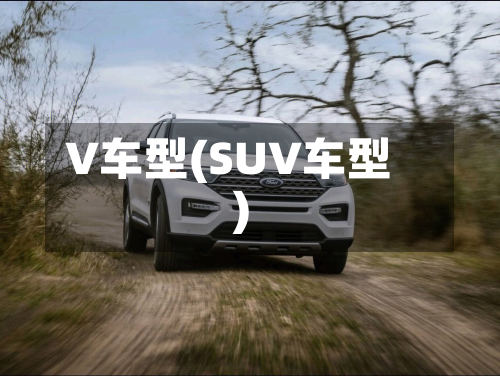 V车型(SUV车型)-第3张图片