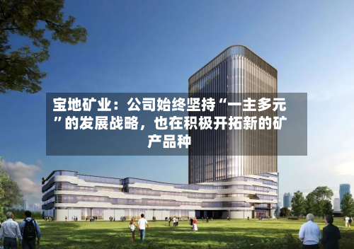宝地矿业：公司始终坚持“一主多元”的发展战略	，也在积极开拓新的矿产品种-第1张图片