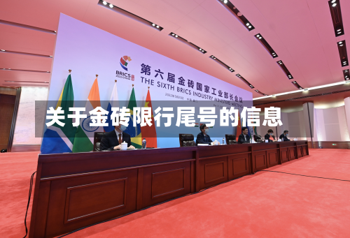 关于金砖限行尾号的信息
