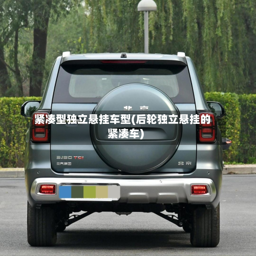 紧凑型独立悬挂车型(后轮独立悬挂的紧凑车)
