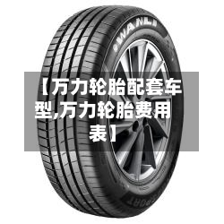 【万力轮胎配套车型,万力轮胎费用表】-第3张图片