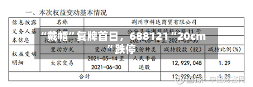 “戴帽	”复牌首日	，688121“20cm”跌停-第2张图片