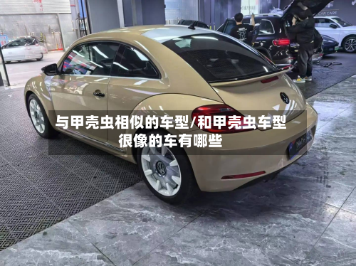 与甲壳虫相似的车型/和甲壳虫车型很像的车有哪些
