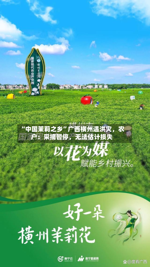 “中国茉莉之乡”广西横州遇洪灾，农户：采摘暂停，无法估计损失