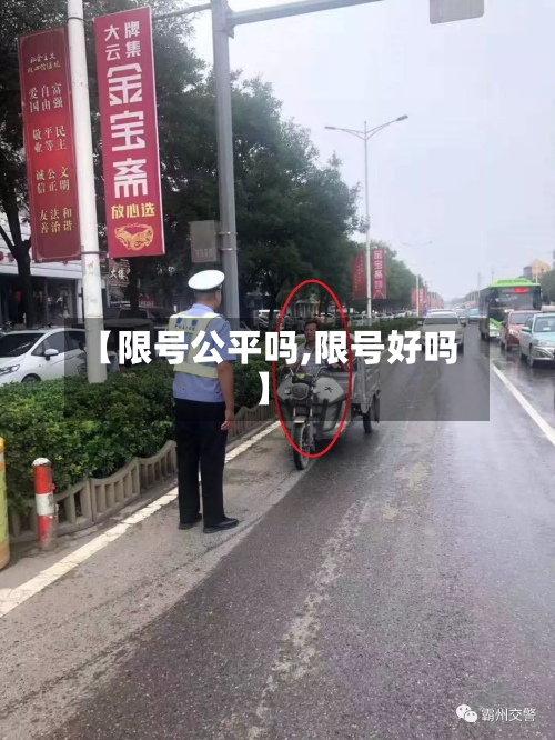 【限号公平吗,限号好吗】-第3张图片