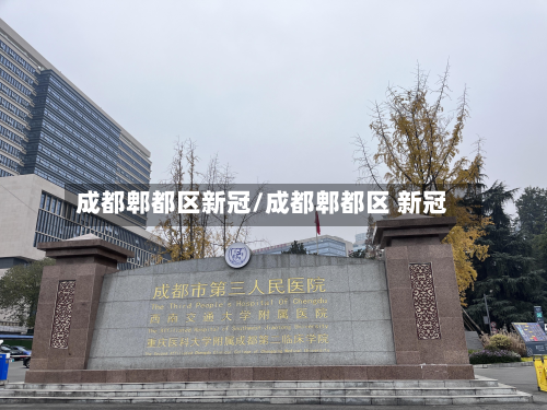 成都郫都区新冠/成都郫都区 新冠
