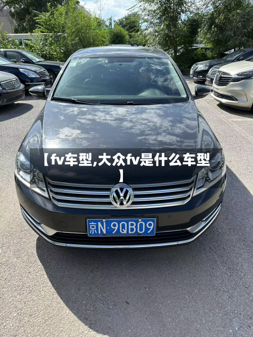 【fv车型,大众fv是什么车型】-第2张图片