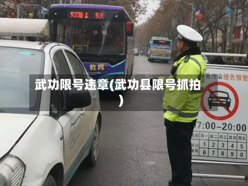 武功限号违章(武功县限号抓拍)