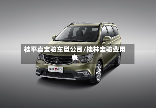 桂平卖宝骏车型公司/桂林宝骏费用表