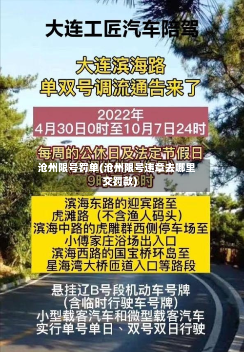 沧州限号罚单(沧州限号违章去哪里交罚款)