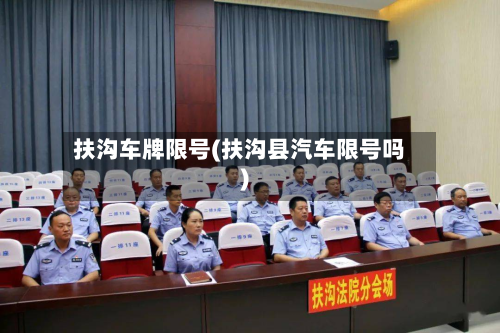 扶沟车牌限号(扶沟县汽车限号吗)-第3张图片