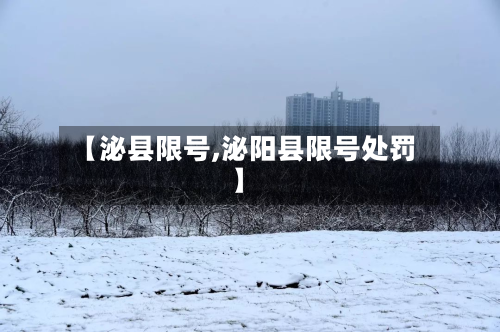 【泌县限号,泌阳县限号处罚】