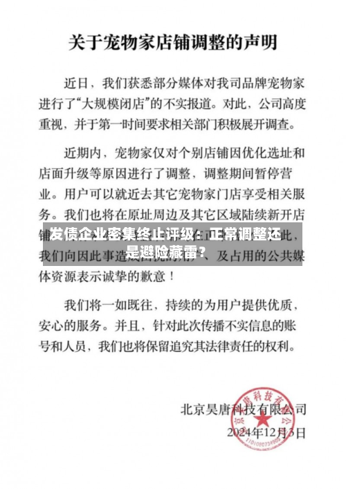 发债企业密集终止评级:正常调整还是避险藏雷?-第2张图片