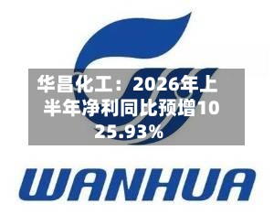 华昌化工:2026年上半年净利同比预增1025.93%-第2张图片