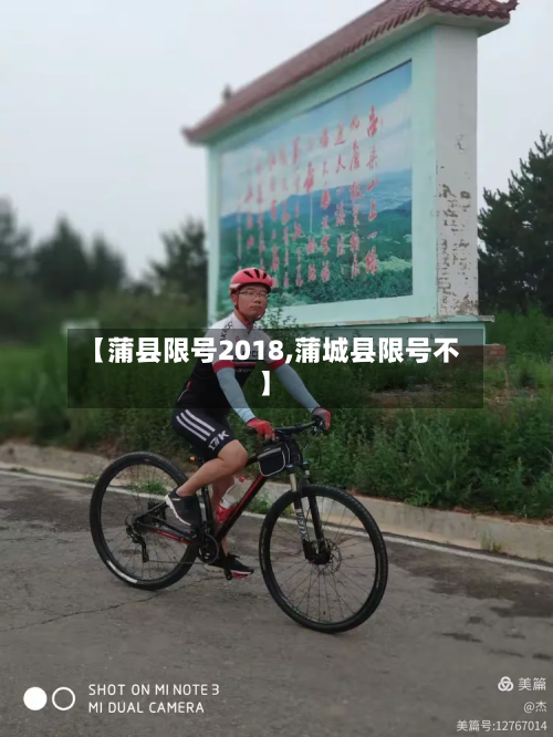 【蒲县限号2018,蒲城县限号不】-第3张图片