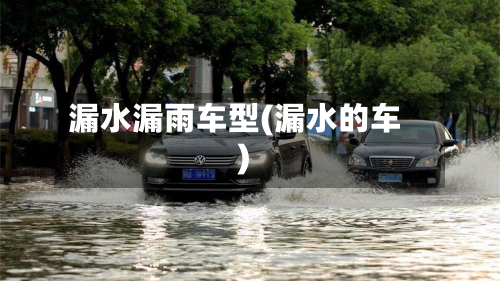 漏水漏雨车型(漏水的车)-第2张图片