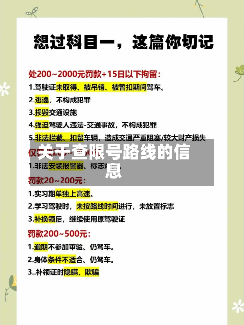 关于查限号路线的信息-第2张图片