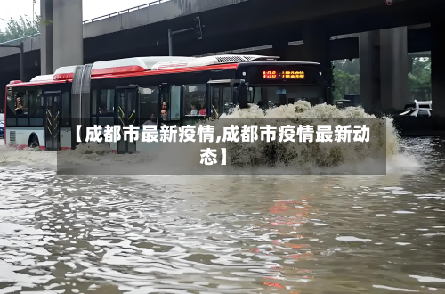 【成都市最新疫情,成都市疫情最新动态】-第3张图片