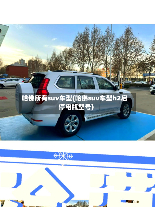 哈佛所有suv车型(哈佛suv车型h2启停电瓶型号)