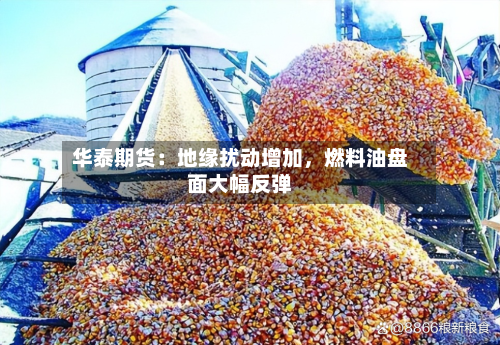 华泰期货：地缘扰动增加，燃料油盘面大幅反弹-第1张图片