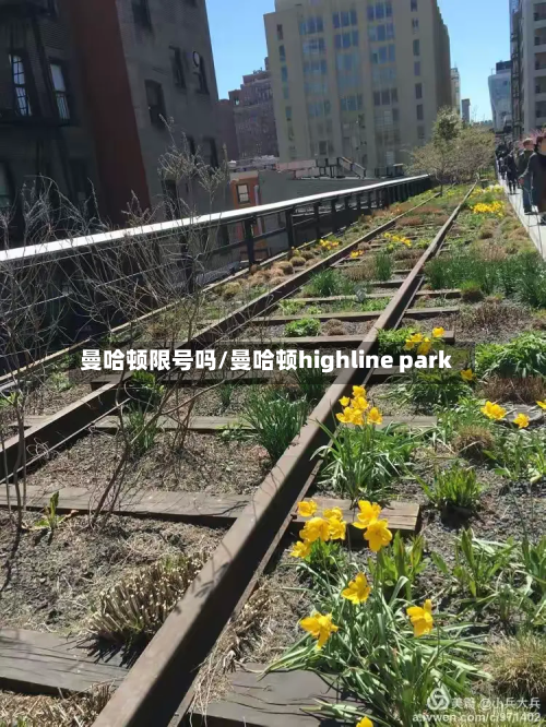 曼哈顿限号吗/曼哈顿highline park