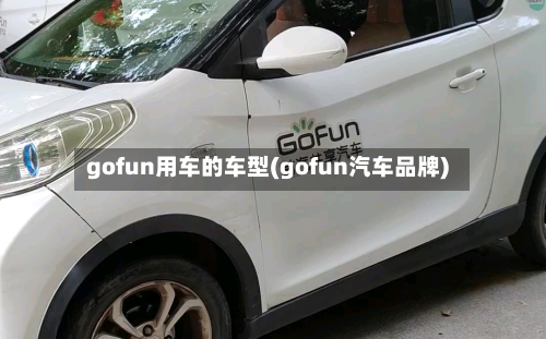 gofun用车的车型(gofun汽车品牌)-第2张图片