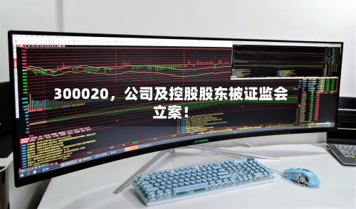 300020，公司及控股股东被证监会立案！-第2张图片
