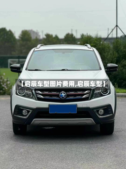 【启辰车型图片费用,启辰车型】