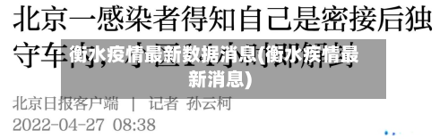 衡水疫情最新数据消息(衡水疾情最新消息)-第2张图片
