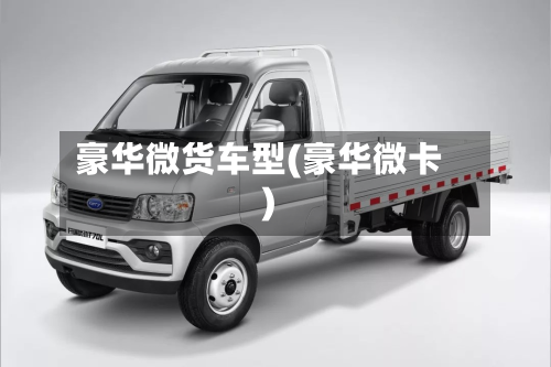 豪华微货车型(豪华微卡)-第3张图片