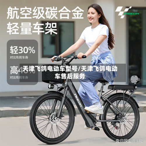 天津飞鸽电动车型号/天津飞鸽电动车售后服务-第2张图片