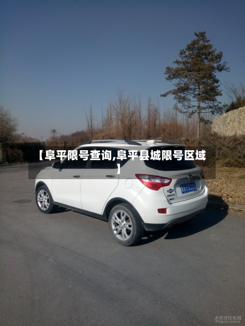 【阜平限号查询,阜平县城限号区域】