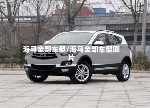 海马全部车型/海马全部车型图片-第2张图片