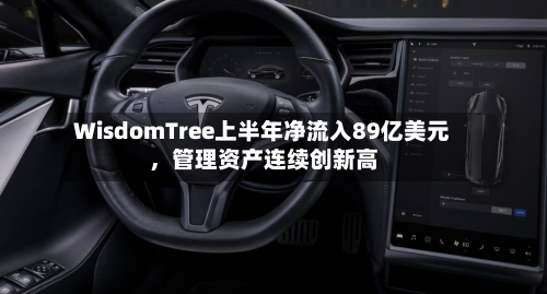 WisdomTree上半年净流入89亿美元，管理资产连续创新高-第2张图片
