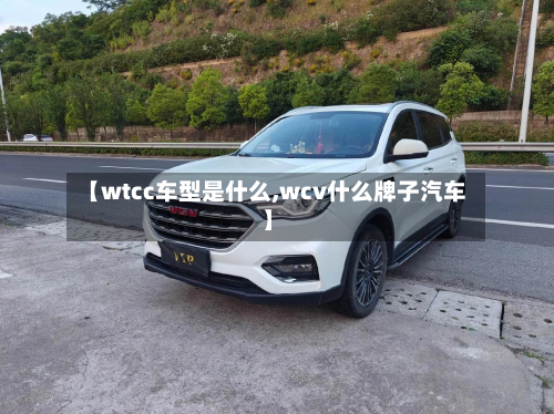 【wtcc车型是什么,wcv什么牌子汽车】