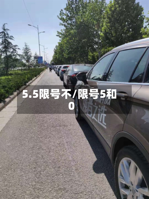 5.5限号不/限号5和0