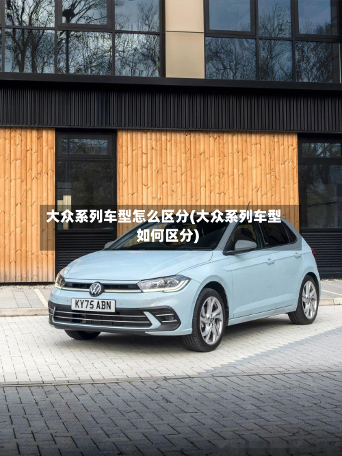 大众系列车型怎么区分(大众系列车型如何区分)-第2张图片