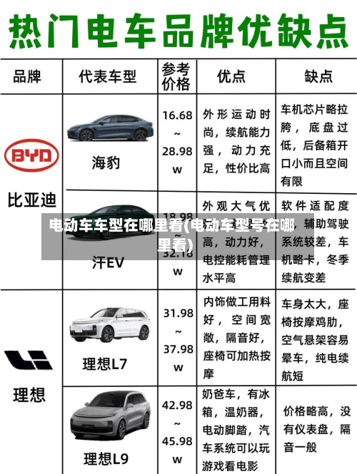 电动车车型在哪里看(电动车型号在哪里看)