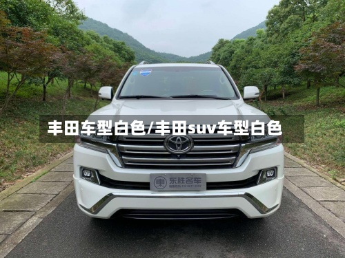 丰田车型白色/丰田suv车型白色-第2张图片