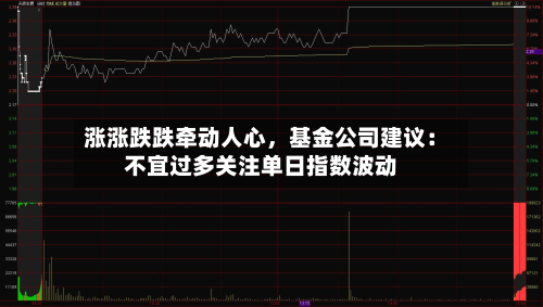 涨涨跌跌牵动人心	，基金公司建议：不宜过多关注单日指数波动-第2张图片