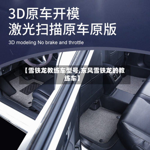 【雪铁龙教练车型号,东风雪铁龙的教练车】-第2张图片