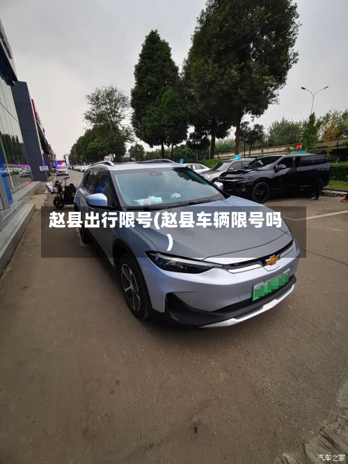 赵县出行限号(赵县车辆限号吗)