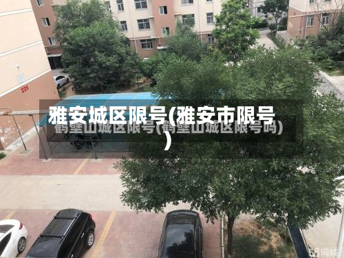 雅安城区限号(雅安市限号)